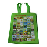 信阳LB11覆膜无纺布广告袋